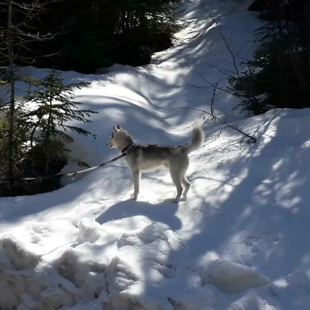 Bouffee D Oxygene Le Seignus