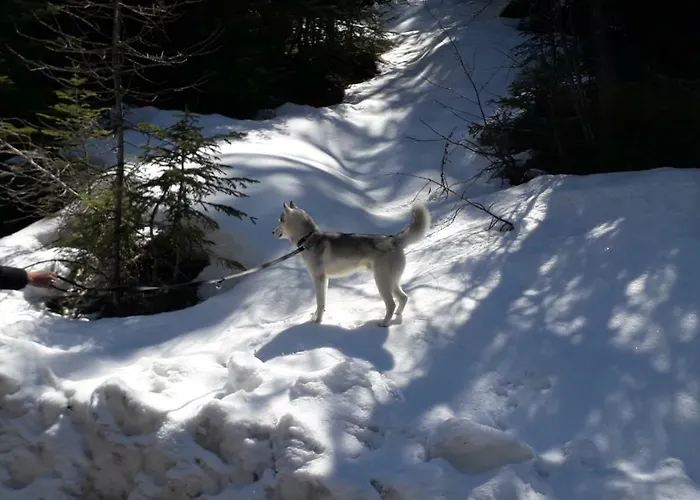 Bouffee D Oxygene Le Seignus